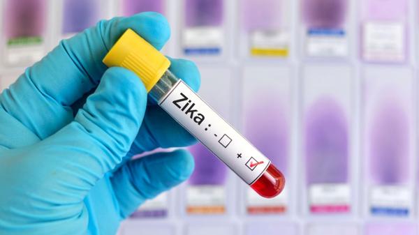 Bacimed Nueva esperanza para encontrar una vacuna contra el zika y el dengue