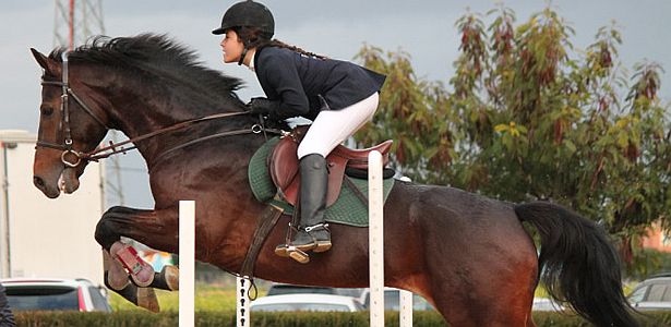 Bacimed Los beneficios de montar a caballo