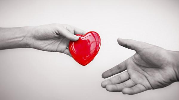 Bacimed Por qué se debe donar sangre dos veces al año
