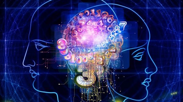 Los Hombres Tienen El Cerebro Más Grande Que Las Mujeres, Según Un